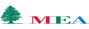 Middle East Airlines